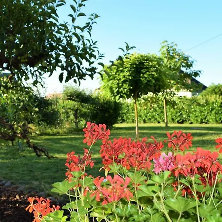 Bed & Breakfast D Hotes Chez Lucie *