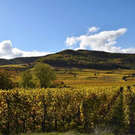 Bed & Breakfast D Hotes Chez Lucie Wintzenheim